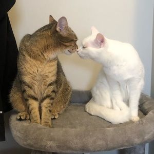 Meet your Posher, Regan